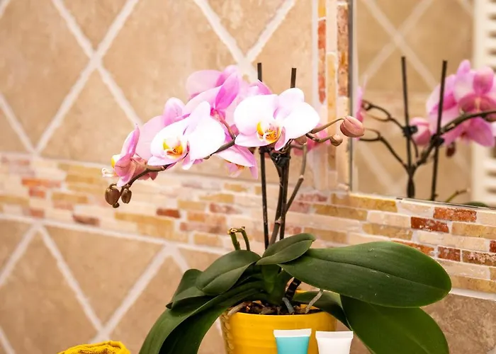 Casa Giulia Positano